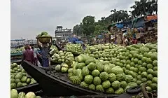 Bangladesh Sees Record Low Growth in Economic Units Since 1996