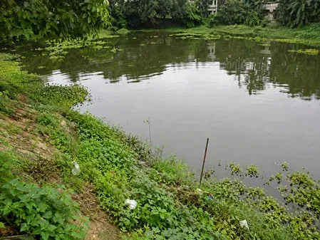 Baruipur pond yields second body after girl's rape-murder case