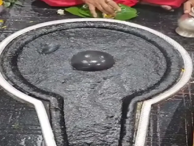 क्या बसंत पंचमी पर बैद्यनाथ मंदिर में महादेव को बारात लाने का न्योता दिया जाता है?