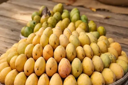 बाजार में मिलने वाला आम स्वास्थ्य के लिए खतरनाक तो नहीं, ऐसे करें आसानी से पहचान