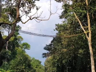 Did the Bengal Government Overlook Warnings About Forest Loss in Darjeeling Hills?