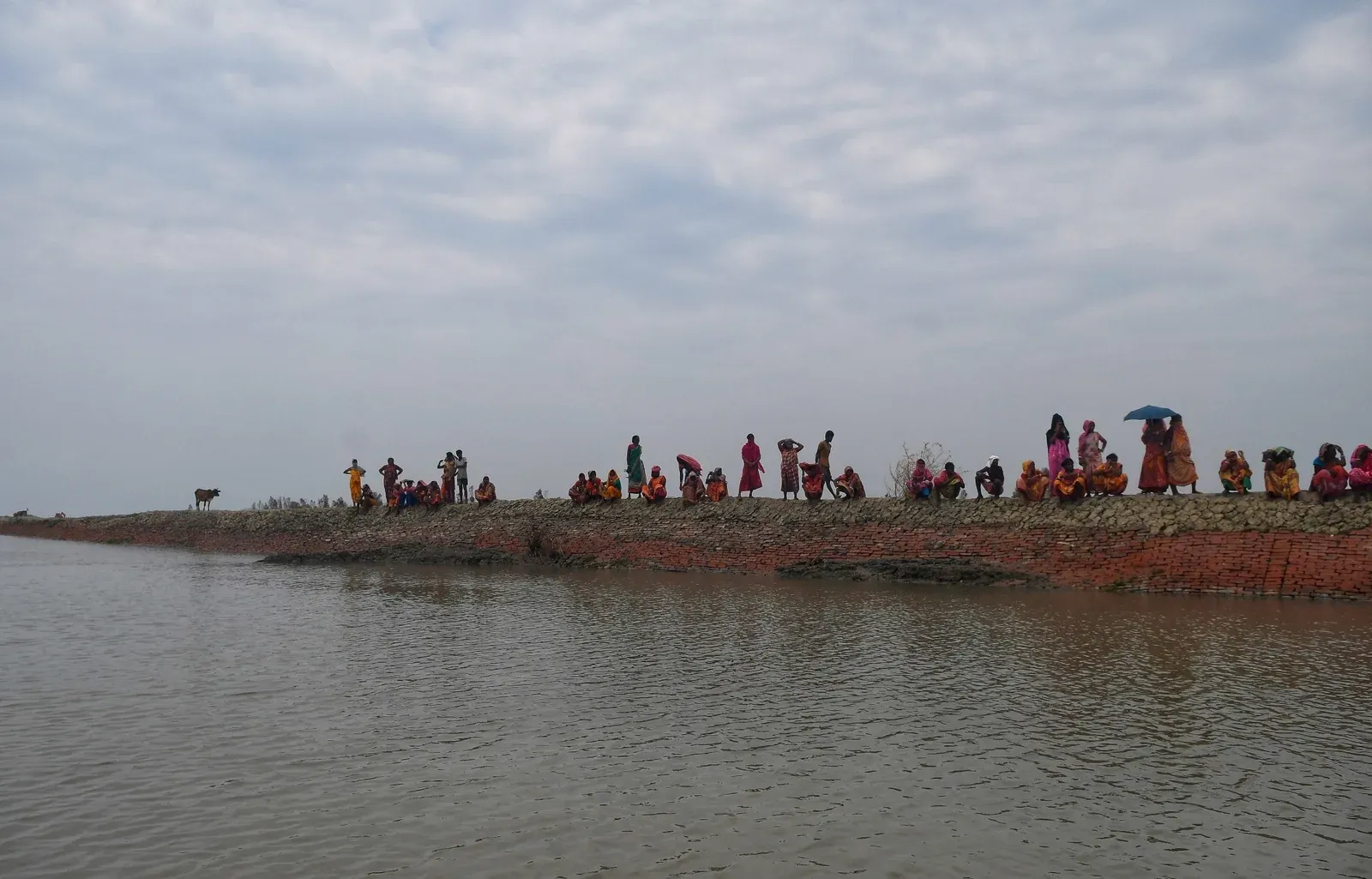 Sundarbans mangrove crackdown: Bengal targets 1,600 acres of illegal fish farms