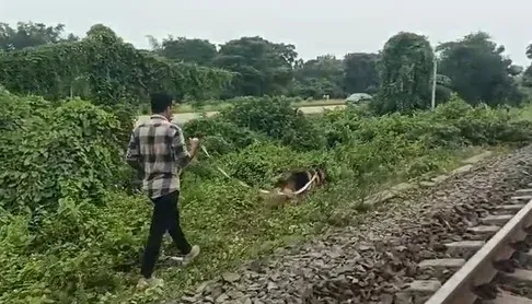 पश्चिम मेदिनीपुर के बेल्डा में रेलवे लाइन-हाईवे के बीच अज्ञात शव, हत्या की आशंका — पुलिस जांच जारी