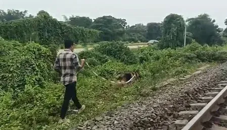 पश्चिम मेदिनीपुर के बेल्डा में रेलवे लाइन-हाईवे के बीच अज्ञात शव, हत्या की आशंका — पुलिस जांच जारी