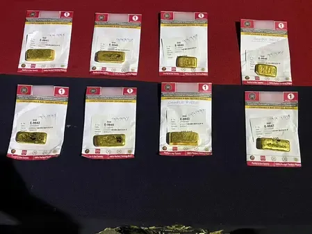 Did the BSF Stop a Major Gold Smuggling Attempt?
