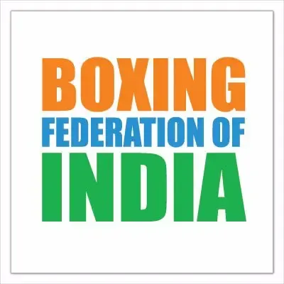 Will BFI’s Interim Panel Deliver Timely Elections Before World Boxing’s August 31 Deadline?