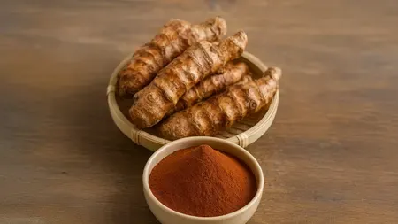 भारत की 39 खास प्रजातियों में से एक, जानें चोपचीनी के हैरान कर देने वाले फायदे