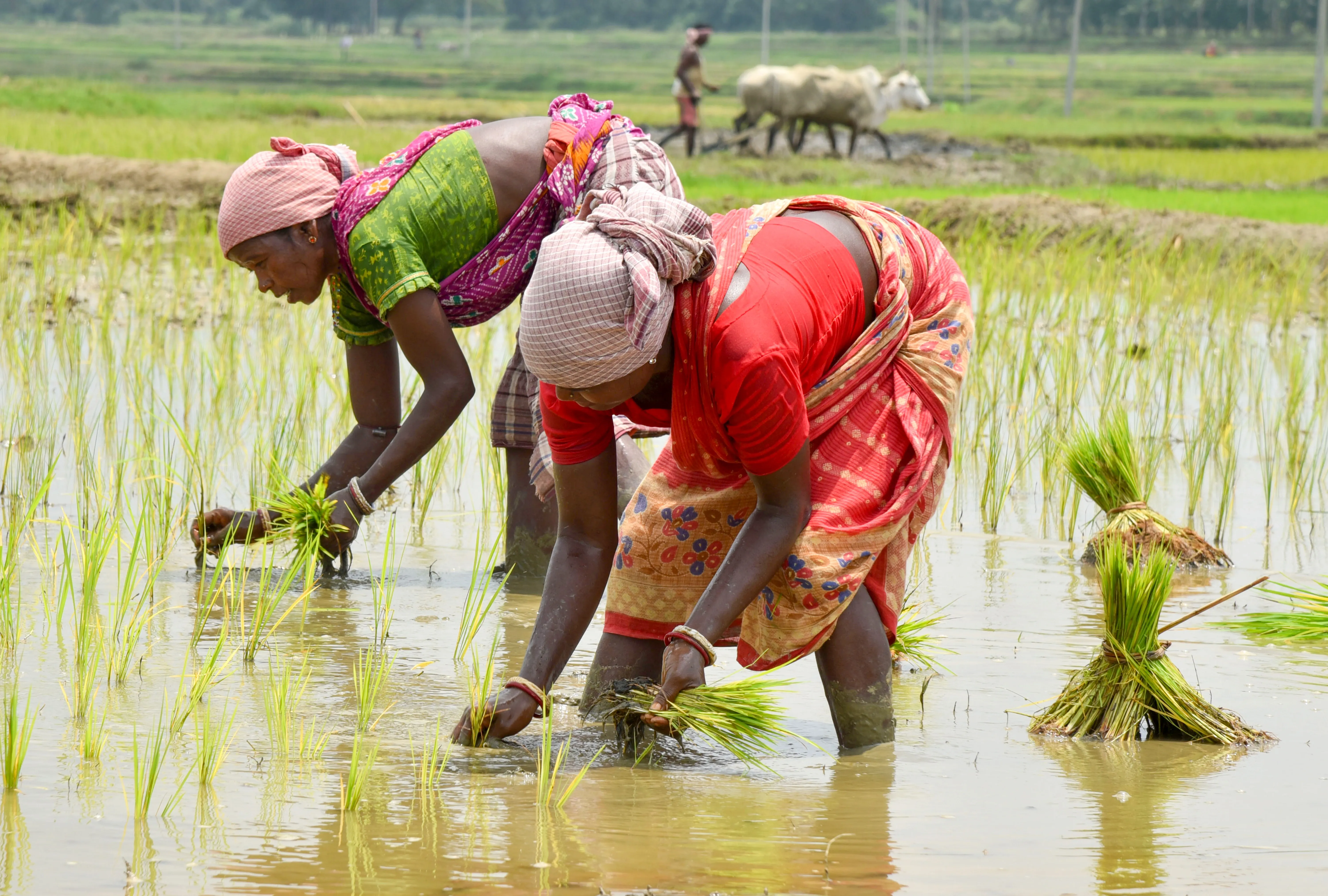 What is ‘BHARATI’ and how will it empower 100 agri-food startups to achieve $50 billion exports by 2030?