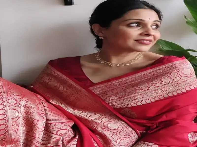 क्या 'महादेव एंड संस' भारतीय परिवार के इमोशंस को बखूबी दर्शाता है? मानसी सल्वी ने बताया अपने किरदार के बारे में