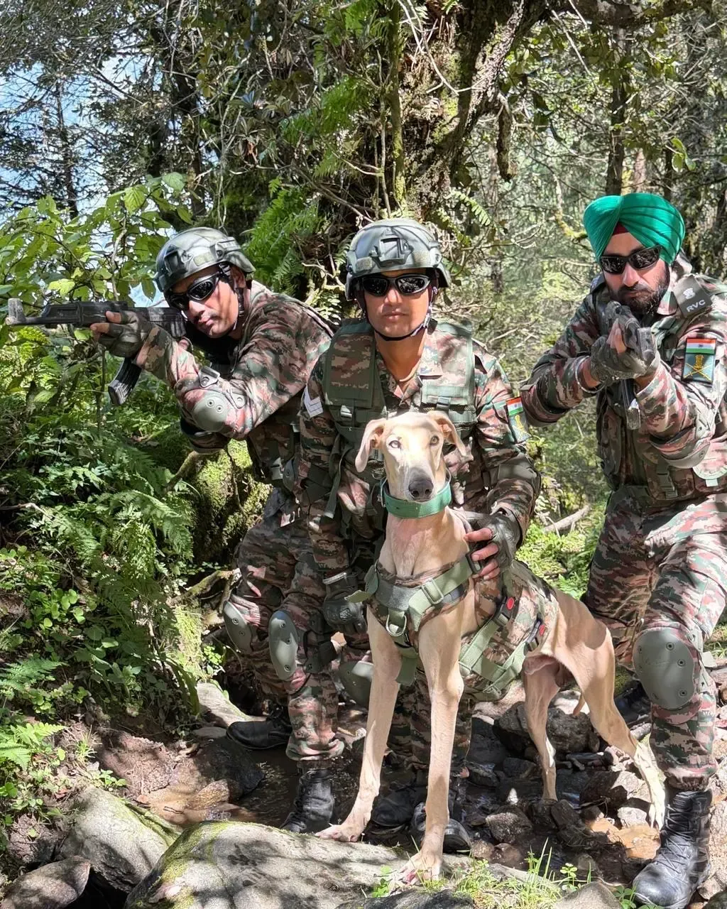 युद्ध अभ्यास 2026: भारतीय सेना के सैन्य डॉग्स ने अमेरिकी सैनिकों के सामने दिखाया दम, रामपुर हाउंड की खास भूमिका