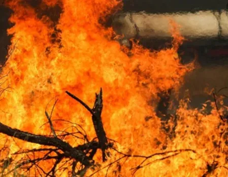 कसौली वनाग्नि पर 15 घंटे में काबू: सेना-वायुसेना के संयुक्त अभियान ने बचाए संवेदनशील वन