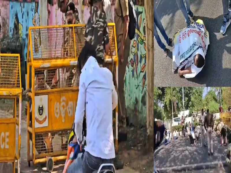 Bhubaneswar: Congress Protesters Encounter Bee Swarm Near IAS Officer's Residence