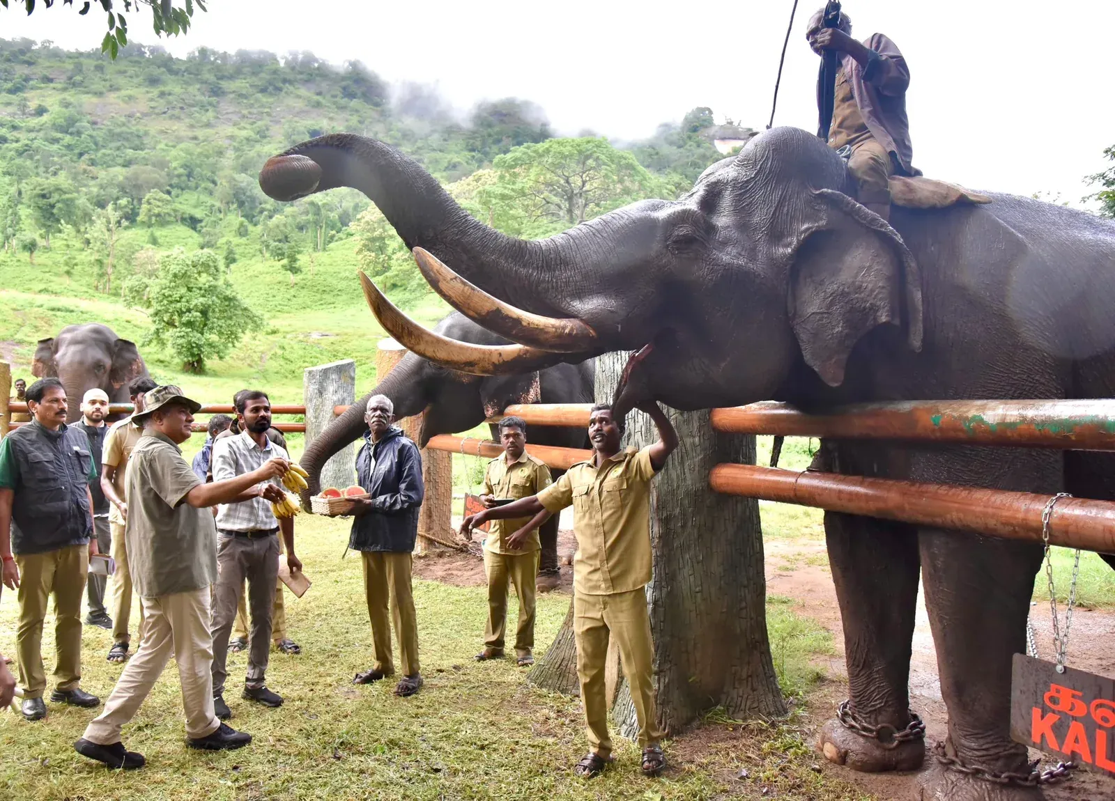 Bhupender Yadav visits Kozhikamudi Elephant Camp in Annamalai Reserve