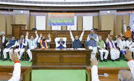 Bihar 2025 polls: Biggest wins, narrowest finishes and the voter turnout story 