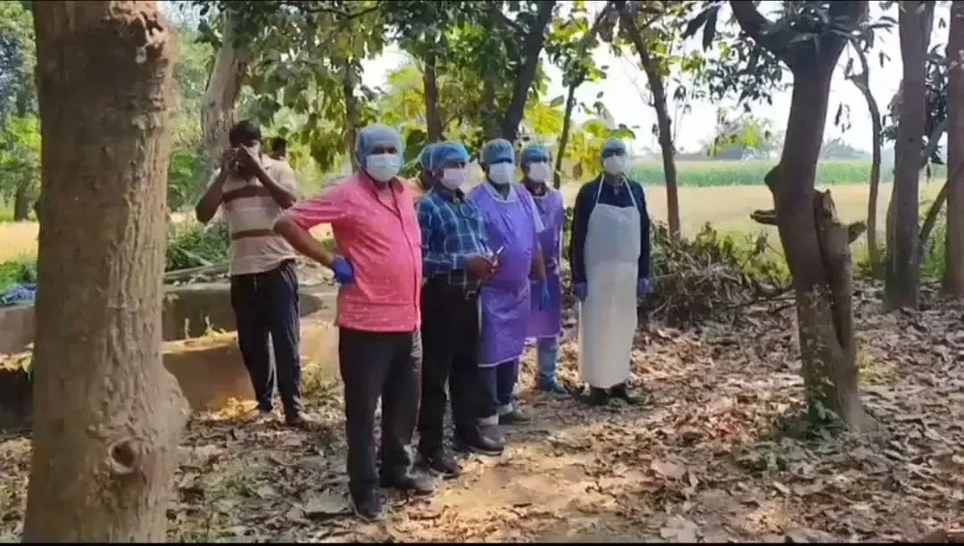 Bihar: Outbreak of Bird Flu Confirmed in Tegra Village, Munger