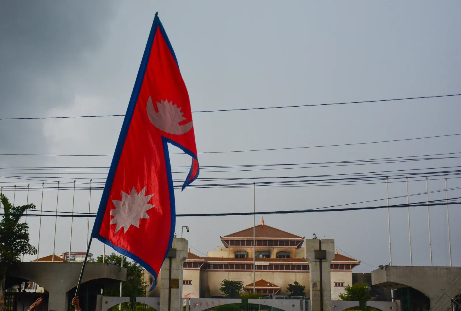 गंडकी प्रांत ने दी गांजा खेती को कानूनी मंजूरी, नेपाल में पहला प्रांत — दवा व उद्योग तक सीमित