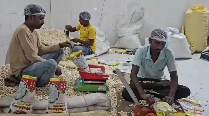 How Are Bihar Farmers Celebrating PM Modi's Birthday with the National Makhana Board?