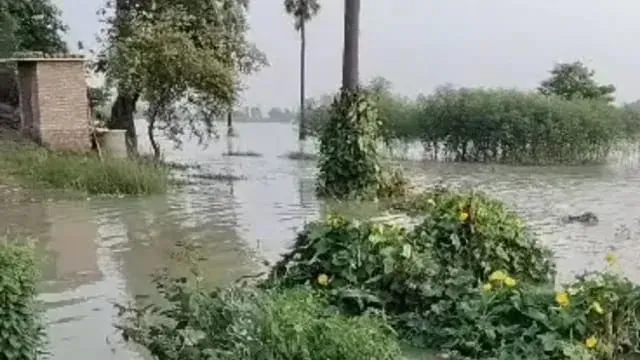 बिहार में कम बारिश के बावजूद गंगा-कोसी समेत 7 नदियाँ उफान पर, कई जिलों में बाढ़ का खतरा