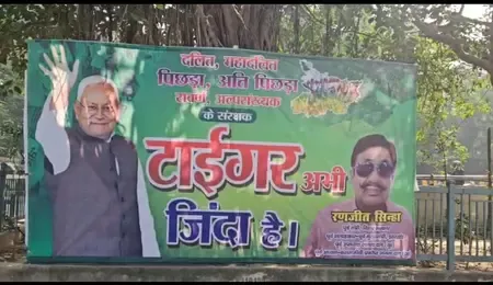 'टाइगर अभी जिंदा है', बिहार में मतगणना से पहले जदयू कार्यालय के बाहर लगे पोस्टर