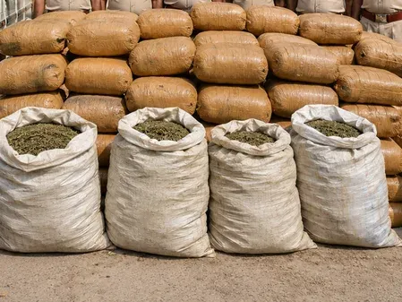 Bihar Police seize 455 kg ganja in Supaul, Madhubani raids; 5 arrested