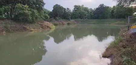 बिहार : प्रधानमंत्री मत्स्य संपदा योजना से मत्स्य पालन में वृद्धि और रोजगार का हो रहा सृजन