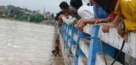 बिहार: रबर डैम से पानी छोड़ा गया, फल्गु नदी में मछलियों की लूट