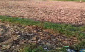 Bihar to Implement Legislation for Development of Bettiah Raj Land