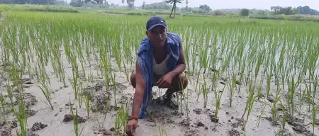 बिहार : वैशाली में केंद्र की योजना से जयकिशुन को मिला पक्‍का घर, रणधीर कर रहे आधुनिक खेती