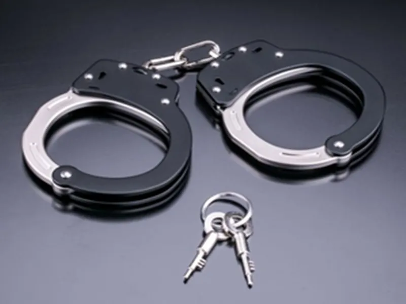 Bihar Vigilance Bureau Nabs Dairy Officer in Bribery Sting