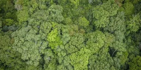 NBA disburses ₹2.82 crore to states under biodiversity benefit-sharing