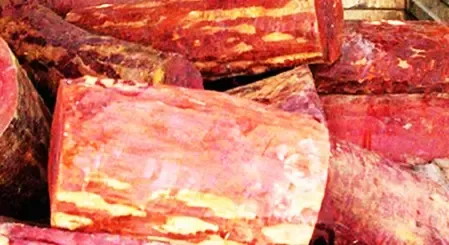 Did the Biodiversity Authority Allocate Rs 39.84 Crore for Protecting Red Sanders in Andhra Pradesh?