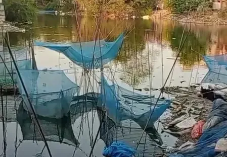 Transforming Fish Farming in Palamu: How Biofloc Technology Under PMMSY is Elevating Farmers' Incomes