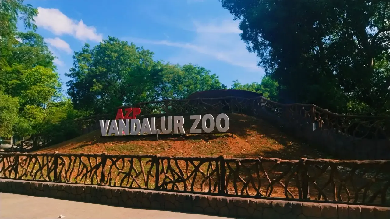 Bird flu confirmed at Vandalur Zoo; Chennai park shuts for 2 days