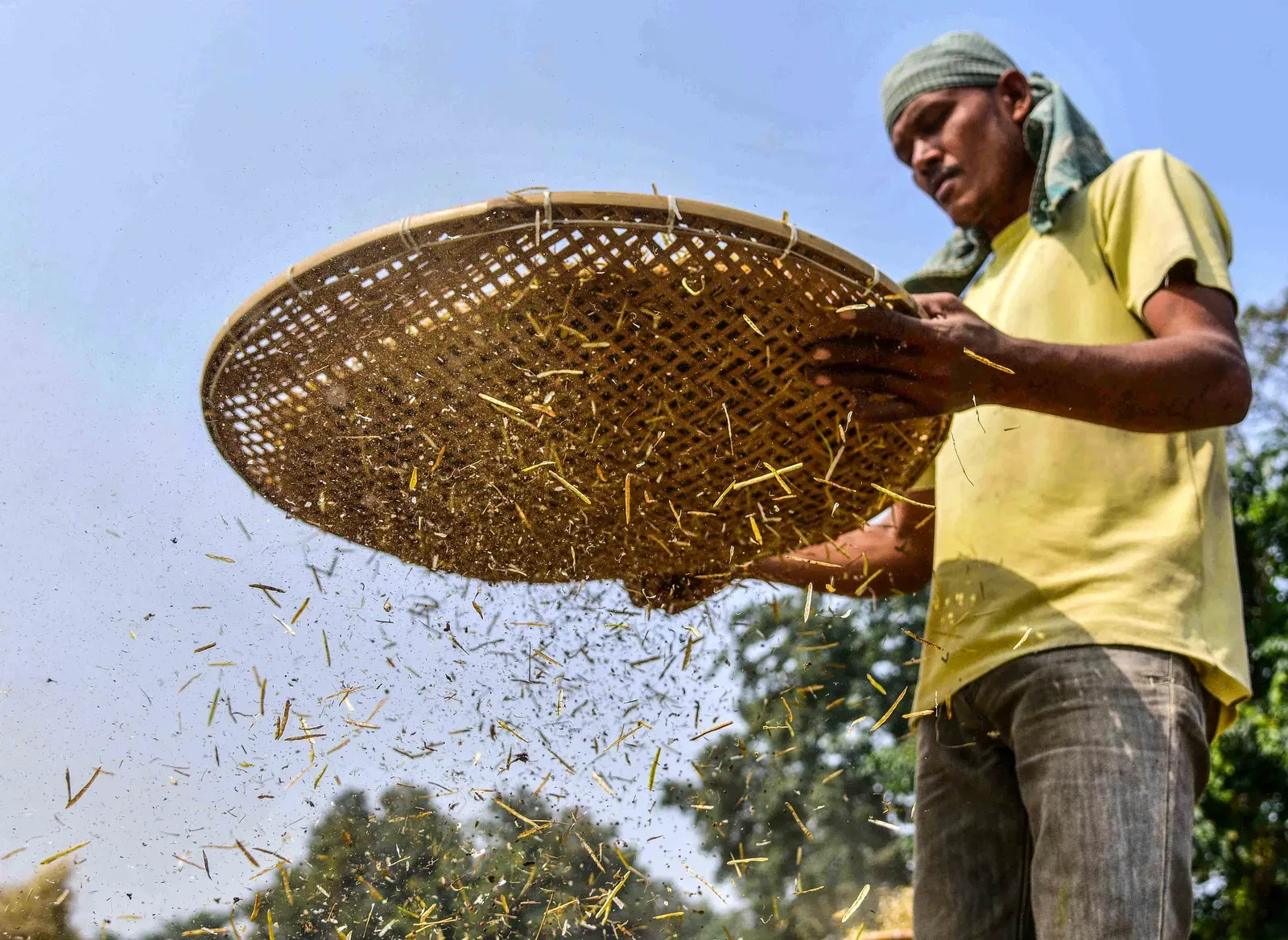 BIS launches IS 20201:2026 standard for community seed banks across India
