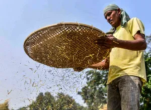 BIS launches IS 20201:2026 standard for community seed banks across India