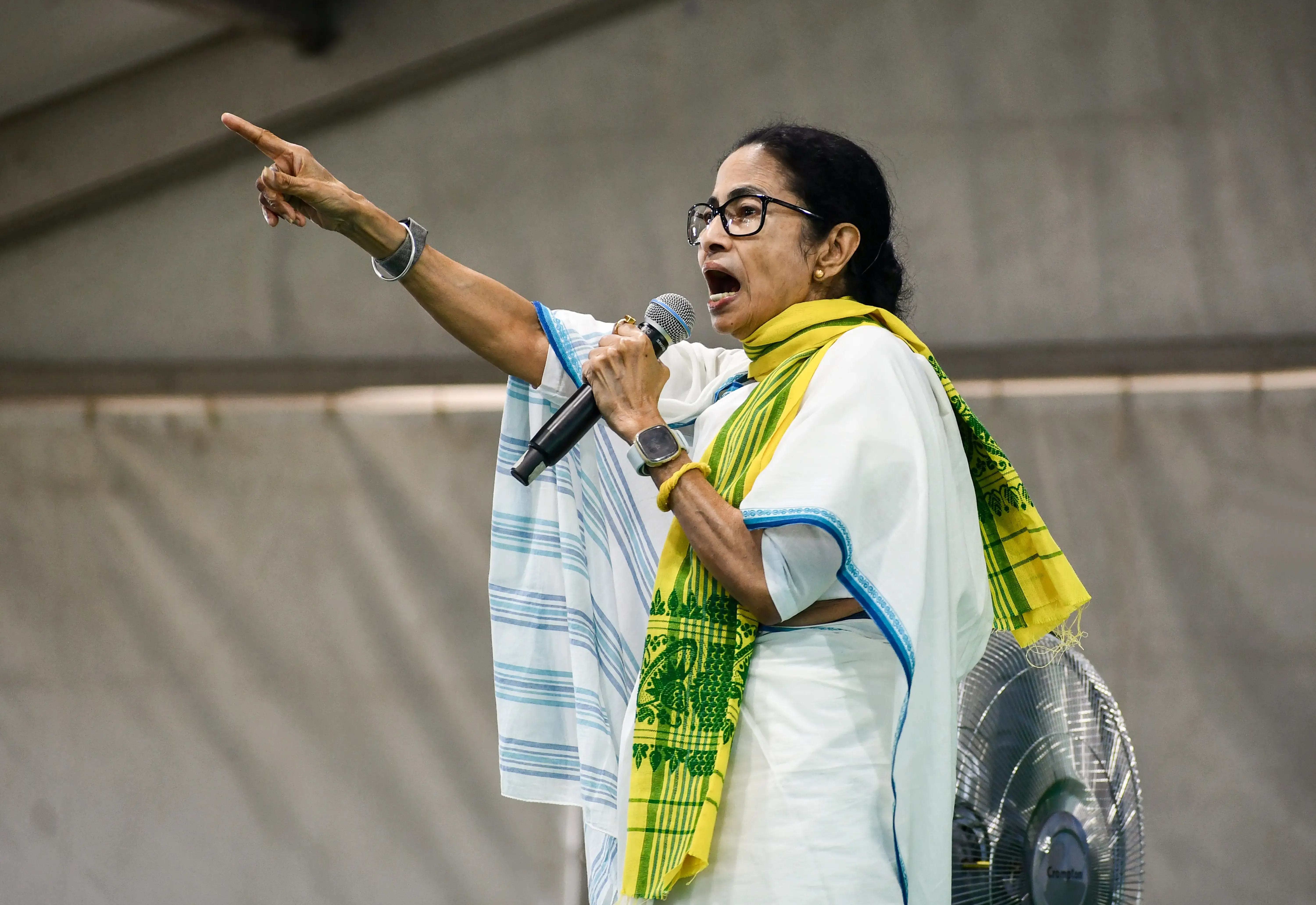 BJP Alleges Mamata Banerjee's Intimidation in Campaigns, Files Complaint with ECI