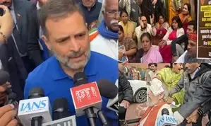 BJP MP Claims Rahul Gandhi Shoved Him; LoP Refutes Allegation