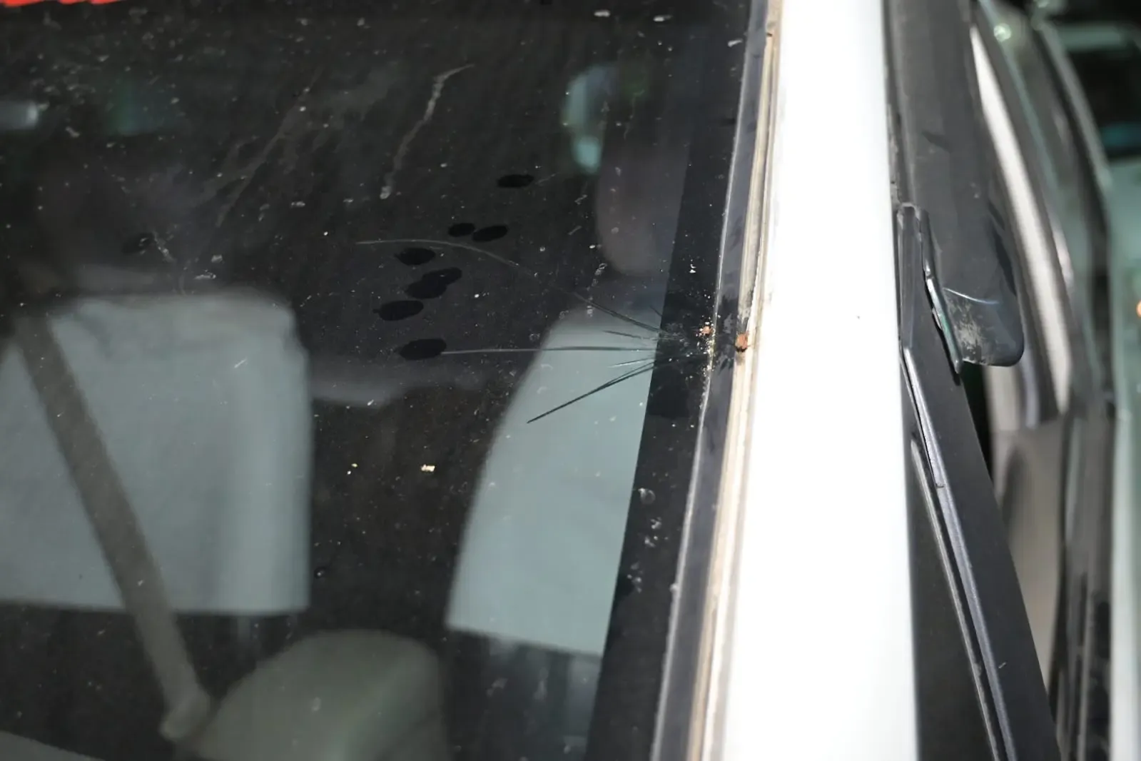 Was BJP MP Raju Bista’s convoy attacked by miscreants in north Bengal?