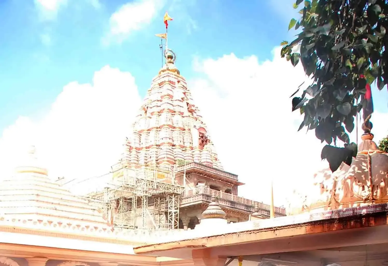 Complete Prohibition on Liquor Sales in MP's Sacred Cities Starting April 1