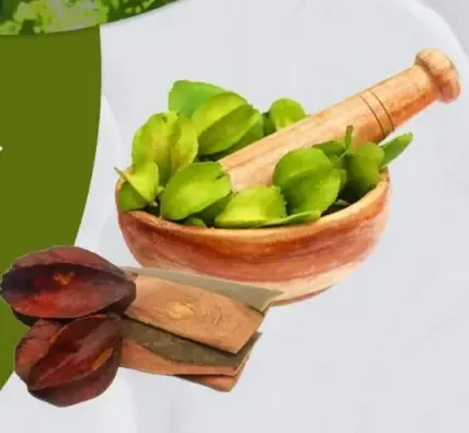 अर्जुन की छाल: हृदय स्वास्थ्य और कोलेस्ट्रॉल नियंत्रण के लिए एक प्राकृतिक उपाय