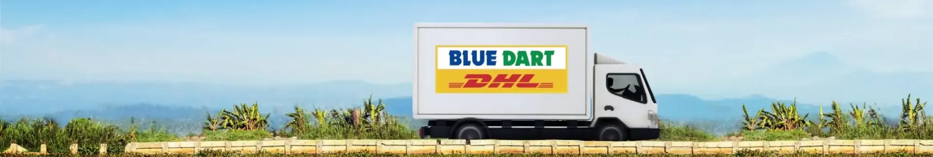 Why Did Blue Dart’s Q1 Net Profit Decrease by 8.6% to Rs 48.8 Crore?