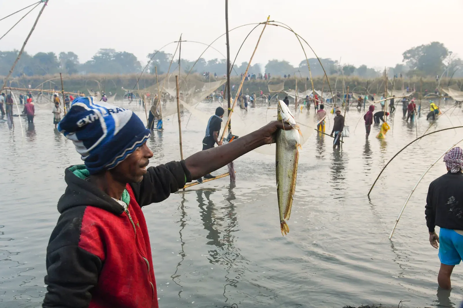 Cold-water fisheries: 3% of India's inland fish output, trout up 1.8x in a decade