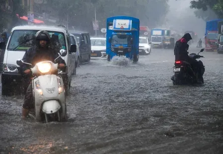 BMC warns Mumbai of leptospirosis risk, urges action within 72 hours