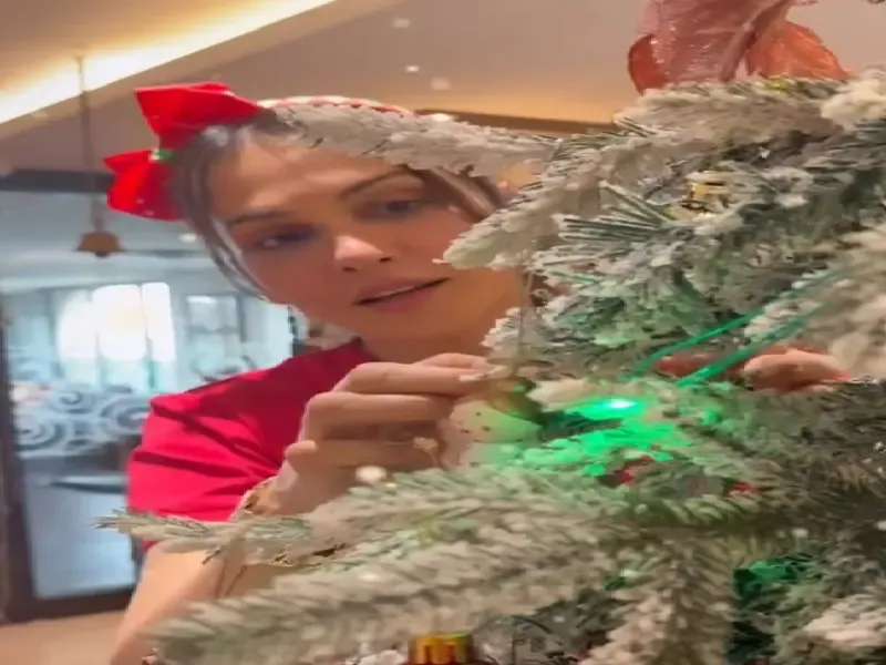 क्या बॉलीवुड में क्रिसमस का जश्न मनाया गया? कार्तिक आर्यन और नसीब अपना-अपना की चंदा शामिल हैं!