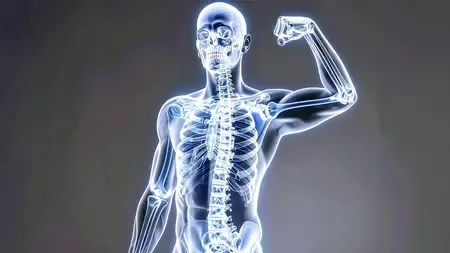 क्या बोन मैरो हड्डियों को मजबूत रखने में मदद करता है? आयुर्वेदिक औषधियों से कैसे मिलेगी ताकत?