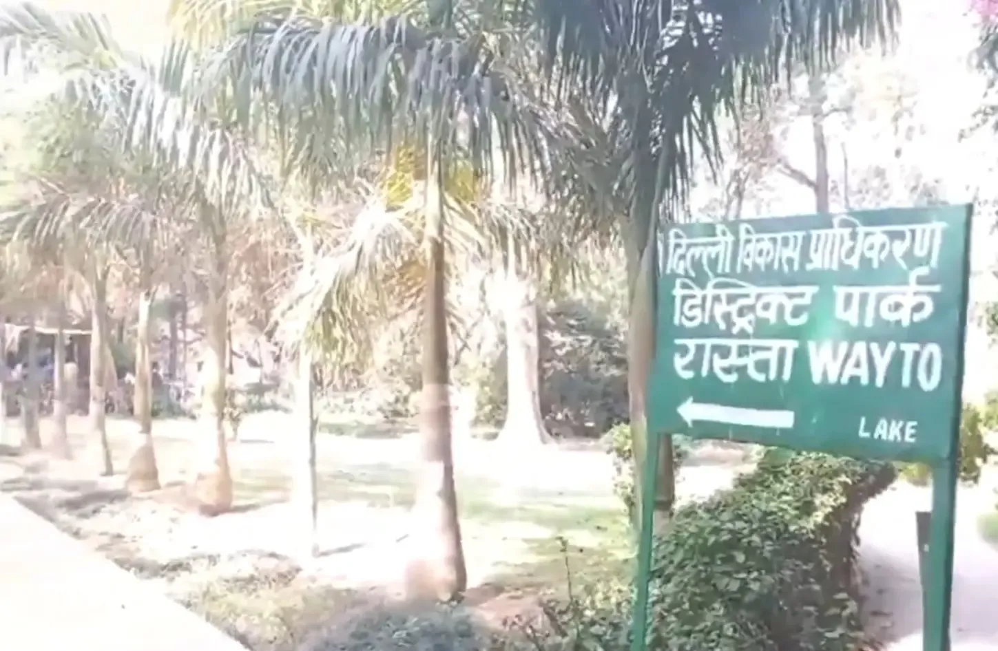 Tragic Discovery: Bodies of Two Teenagers Found in Delhi Park