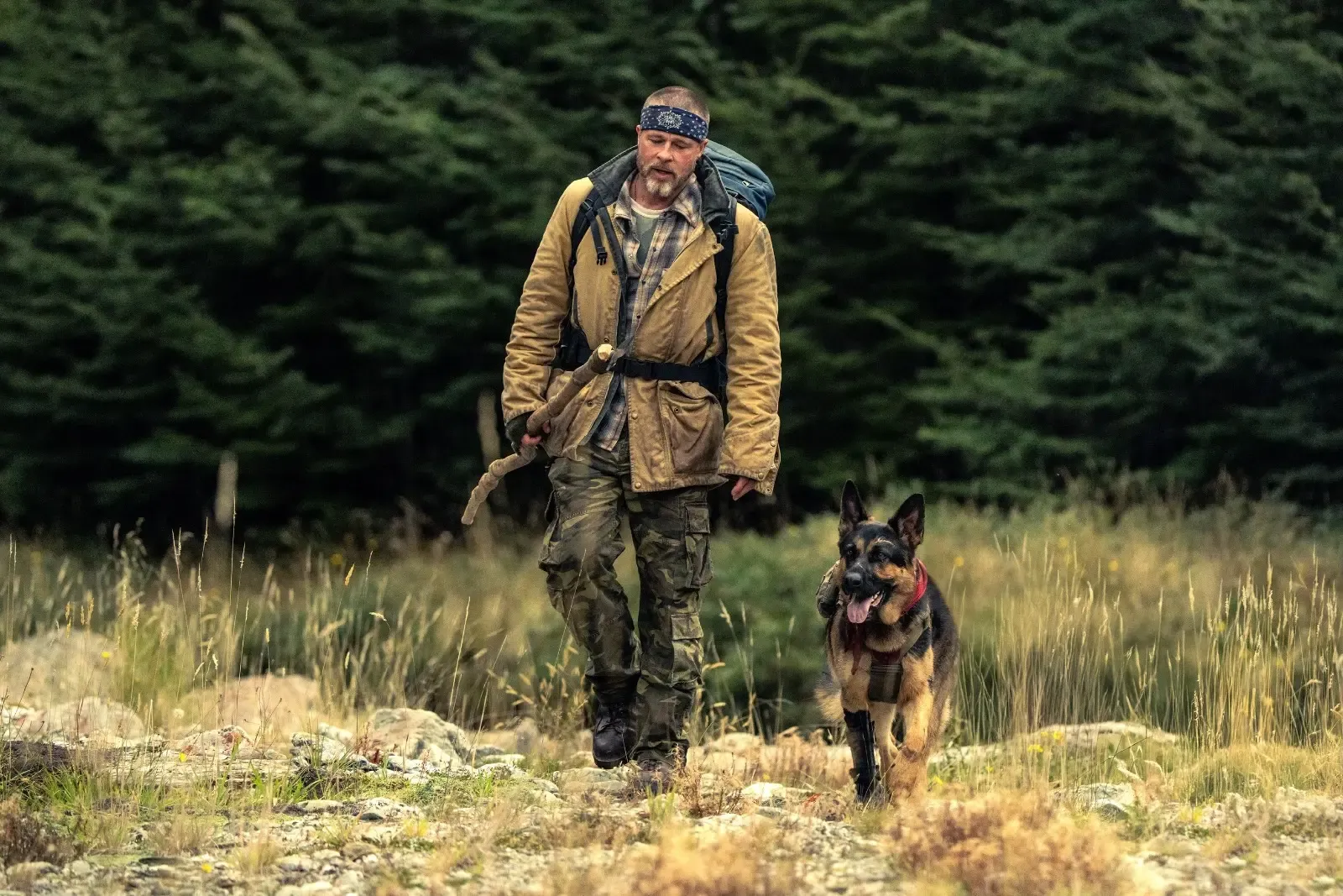Brad Pitt praises canine co-star Uber in 'Heart of the Beast'