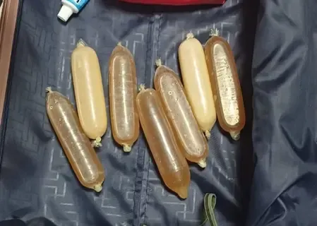 Brazilian National Detained at Mumbai Airport with Cocaine Worth Rs 11.1 Crore