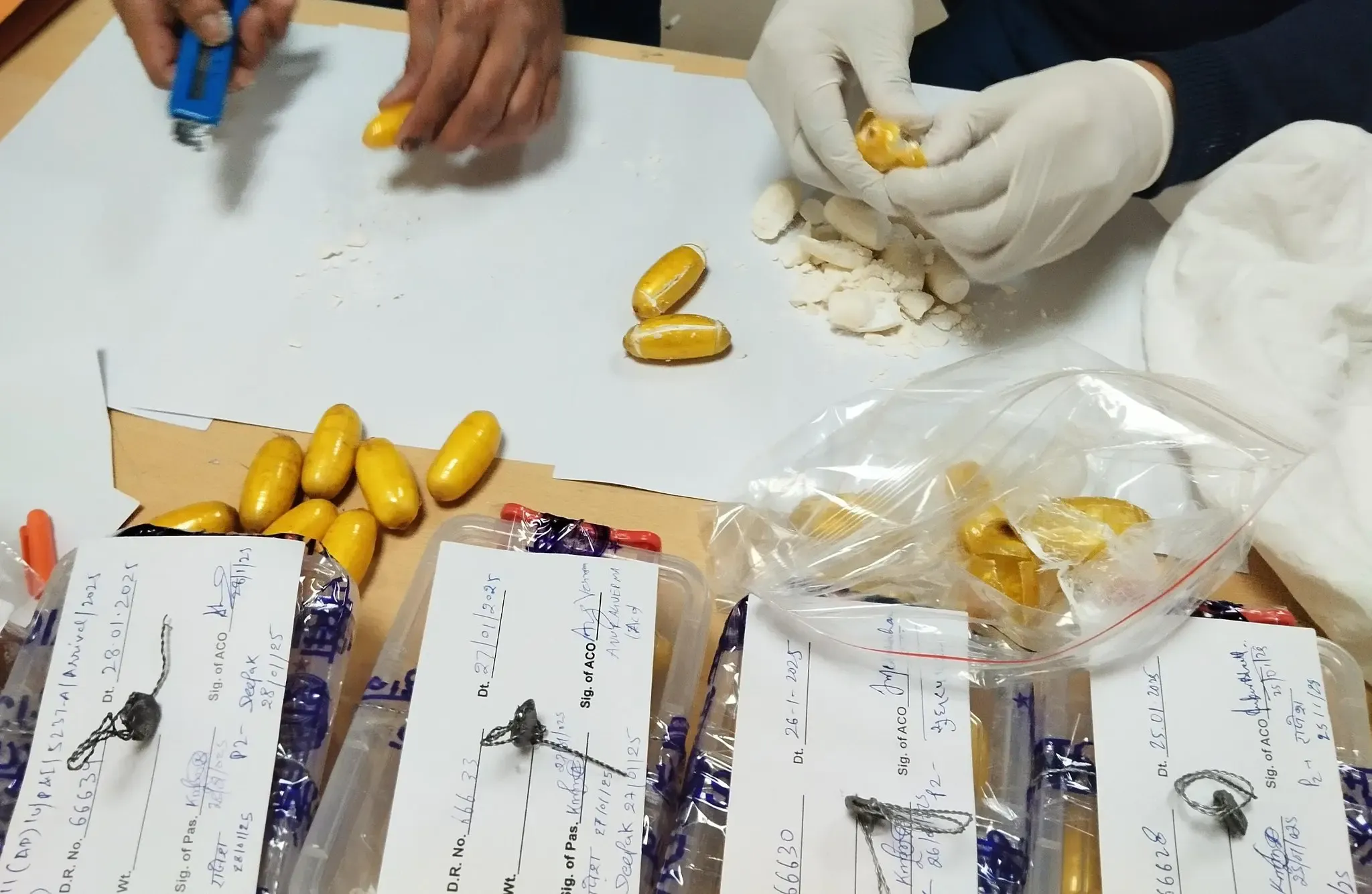 Brazilian National Arrested for Smuggling Cocaine Worth Rs 13 Crore