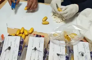 Brazilian National Arrested for Smuggling Cocaine Worth Rs 13 Crore